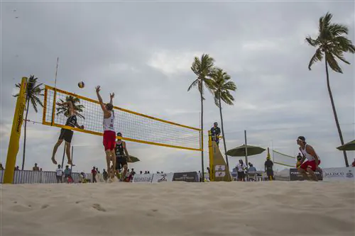 Todd & Theo in Puerto Vallarta